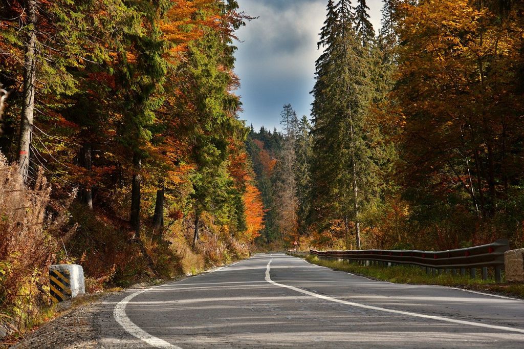 Strada autunnale