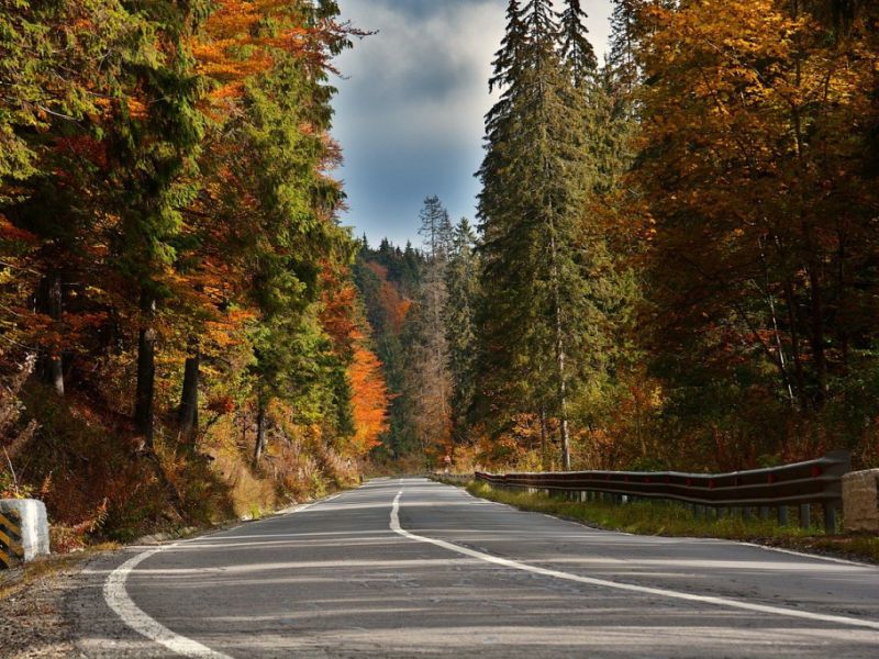 Strada autunnale